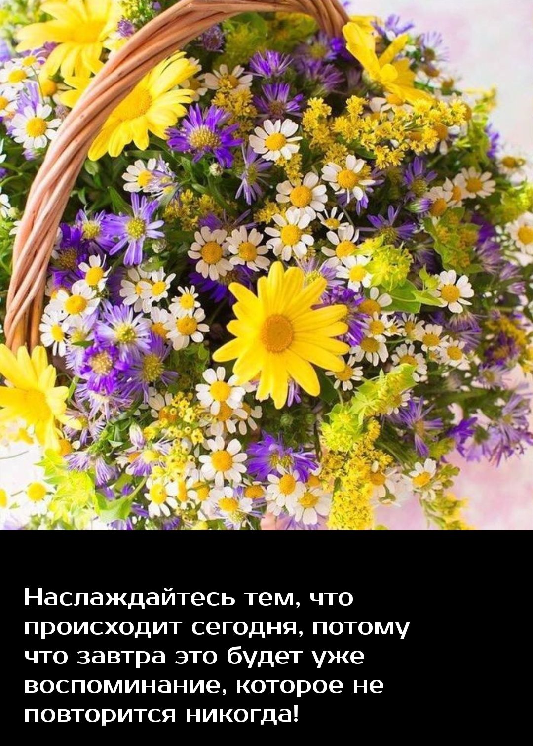 Наслаждайтесь тем что происходит сегодня потому что завтра это будет уже воспоминание которое не повторится никогда