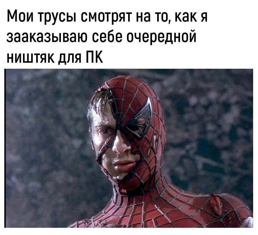 Мои трусы смотрят на то как я зааказываю себе очередной ништяк для ПК