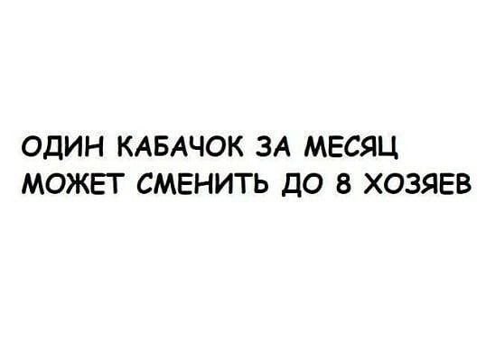 ОДИН КАБАЧОК ЗА МЕСЯЦ МОЖЕТ СМЕНИТЬ ДО 8 ХОЗЯЕВ