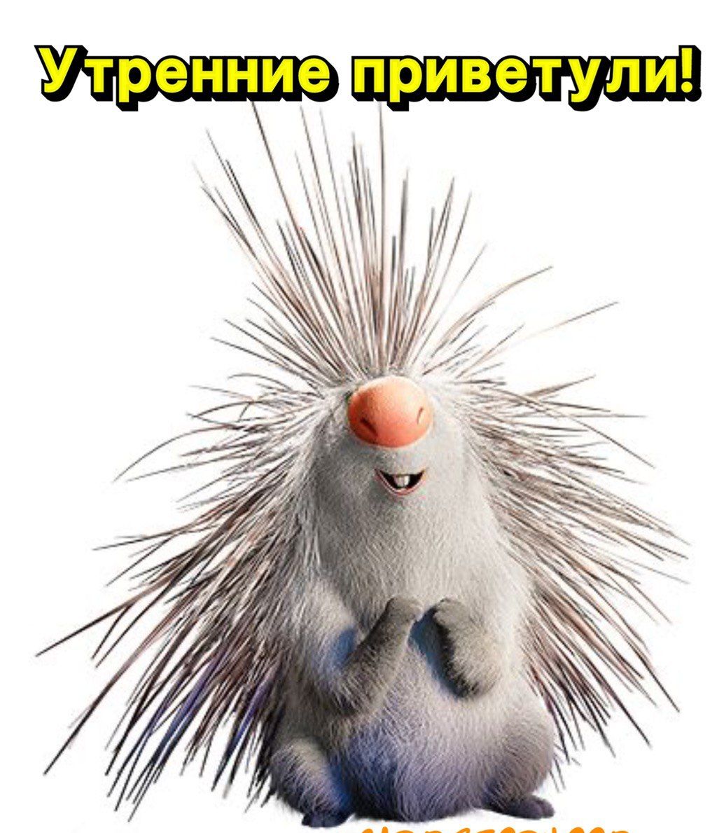 приветули