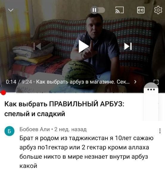 п 14 в 14 Ках выбрать арбуз в магазине Сэк Как выбрать ПРАВИЛЬНЫЙ АРБУЗ спелый и сладкий д д зд Брат я родом из таджикистан я Юлет сажаю арбуз по1гектар или 2 гектар кроми аппаха бопьше никто в мире незнает внутри арбуз какой