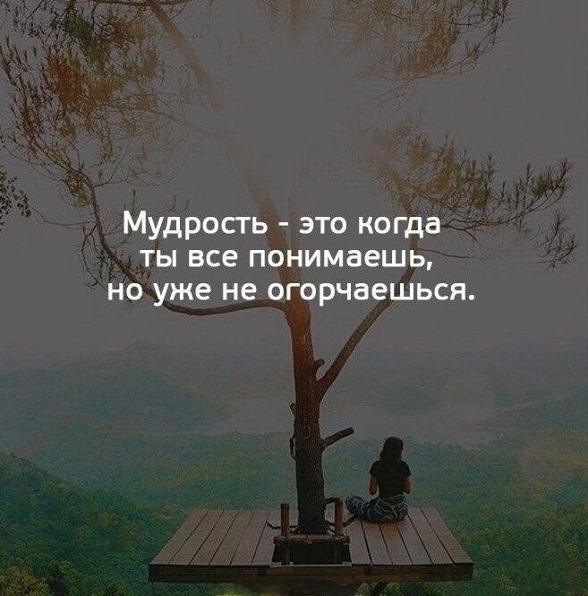 Мудрость это когда ты все понимаешь но уже не огорчаешься