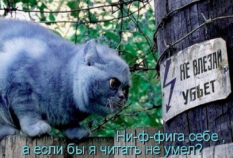 жд дфигалебе бьдаайе