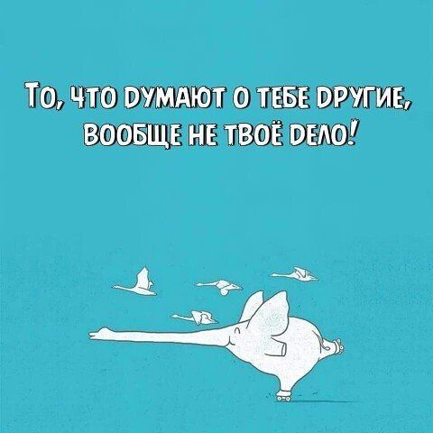 Штоошт твт