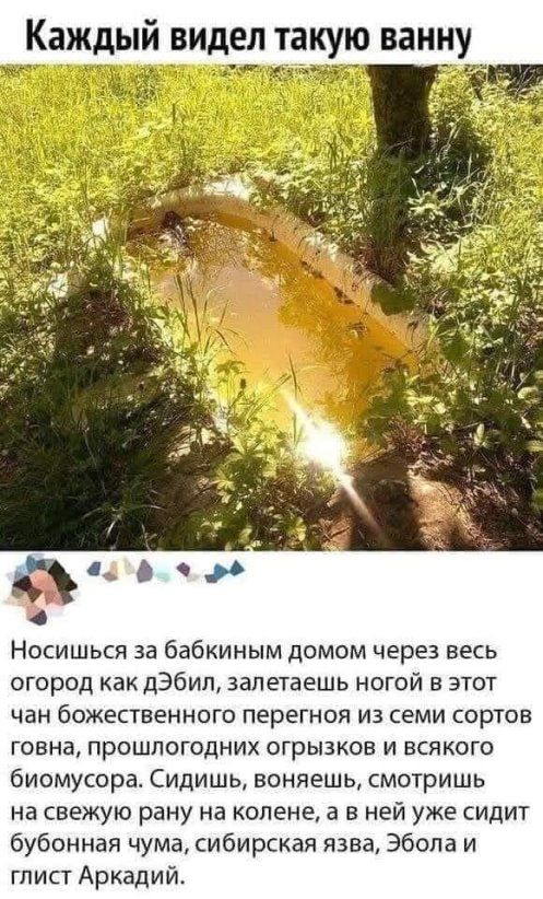 Каждый видел такую ванну 4 НОСИШЬСЯ за бабкиным дОМОМ ЧЕРЕЗ ВЕСЬ огород как дЭбип запетаешь ногой в этот чан божественного перегноя из семи сортов говна прошлогодних отрывков и всякого биомусора Сидишь воняешь смотришь на свежую рану на колене а в ней уже сидит бубонная чума сибирская язва Эбола и глист Аркадий