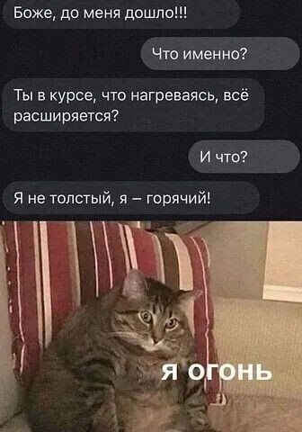 Боже до меня дошло Чтоименно Ты в курсе что нагреваясь всё расширяется И что Я не толстый я горячий