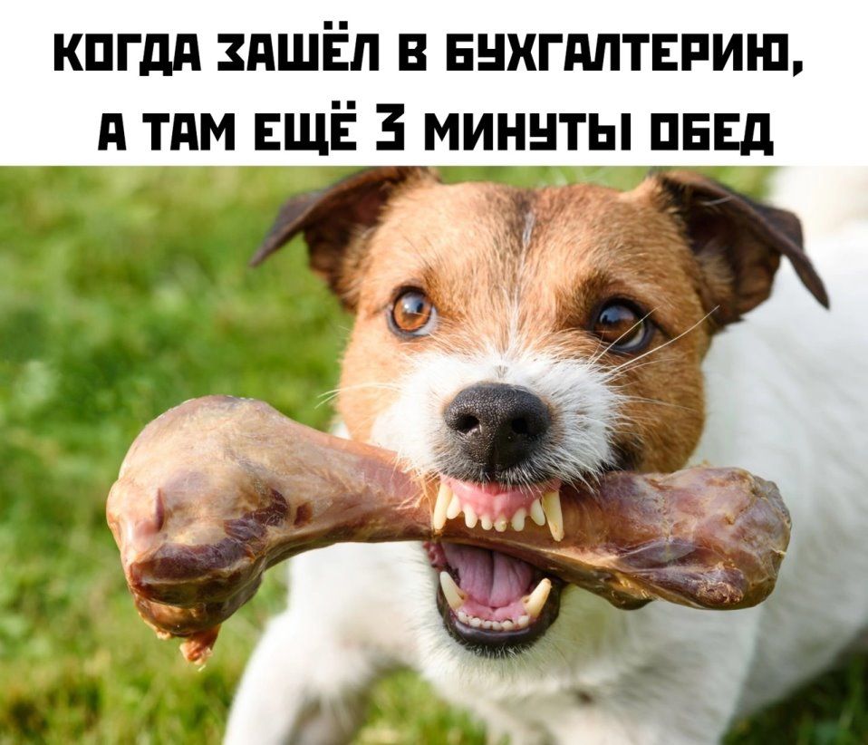 кпгдд ушёл в внхгдлтвпиш тпм ЕЩЁ 3 миннты пввд