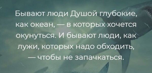 Бывают люди душой глубокие как океан которых хочется окунуться ідпотпюди как лужи котор надо обходить чтобы не запачкаться
