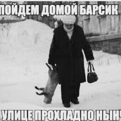 ШЦШШШШЩШПЦШШ