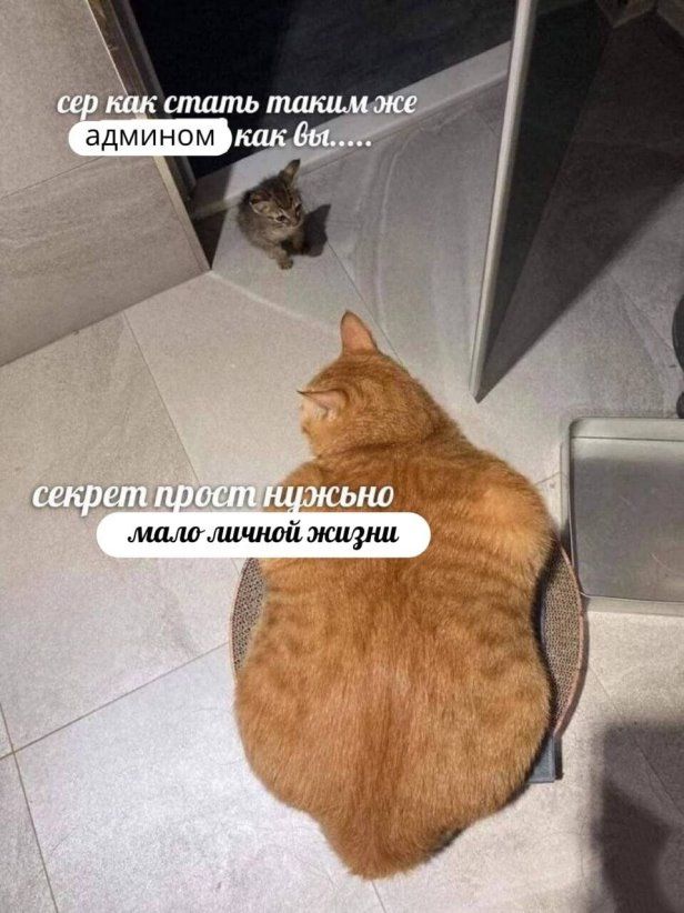11411 админом