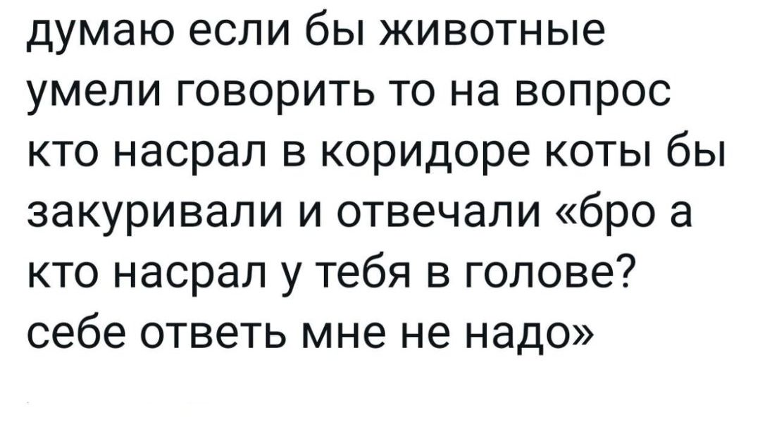 думаю если бы животные умели говорить то на вопрос кто насрал в коридоре коты бы закуривали и отвечали бро а кто насрал у тебя в голове себе ответь мне не надо