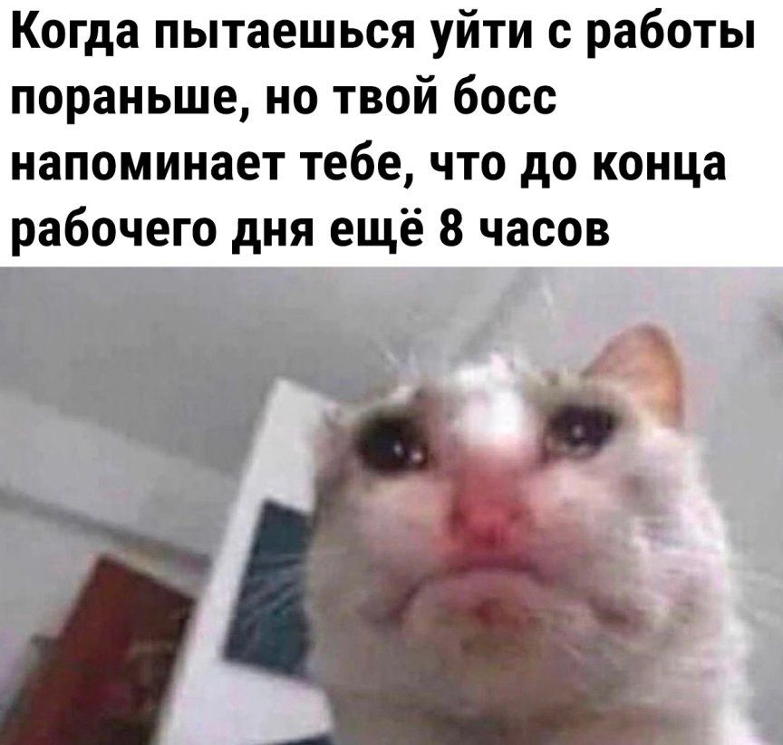Когда пытаешься уйти с работы пораньше но твой босс напоминает тебе что до конца рабочего дня ещё 8 часов