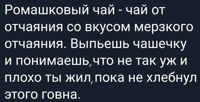 Ромашковый чай чай от отчаяния со вкусом мерзкого отчаяния Выпьешь чашечку и понимаешьчто не так уж и плохо ты жиппока не хлебнул этого говна