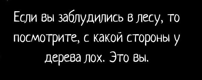 Если вы заблудились в лесу то посмотрите с какой стороны у дерева ло_ Это вы