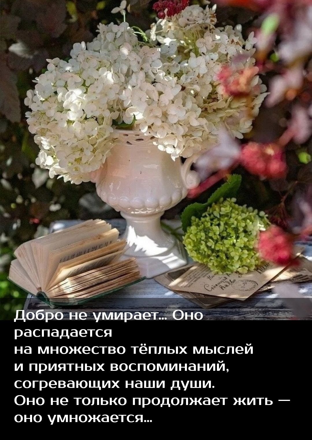 распадается на множесгво тёплых мыслей и приятных воспоминаний согревающих наши души Оно не только продолжает жить оно умножается