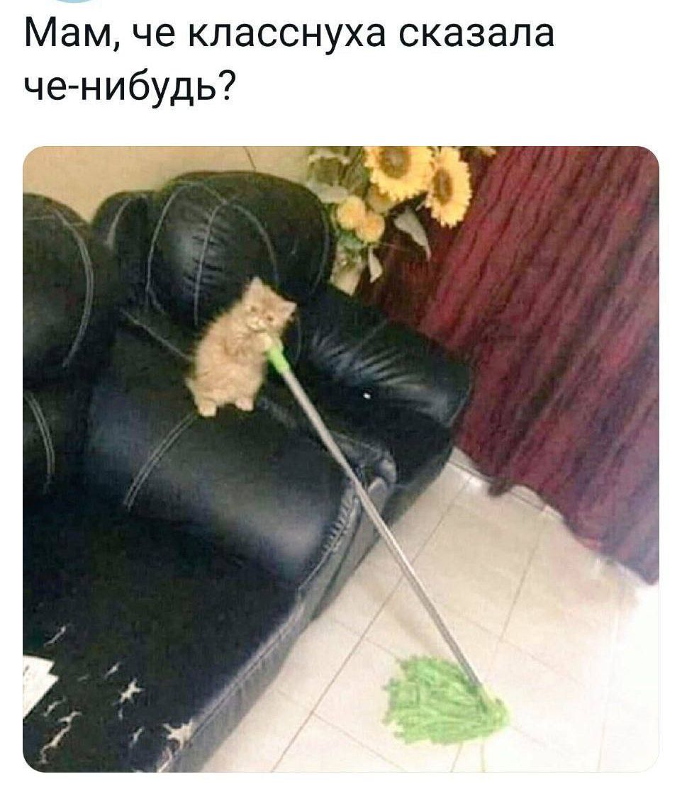 Мам че класснуха сказа ченибудь