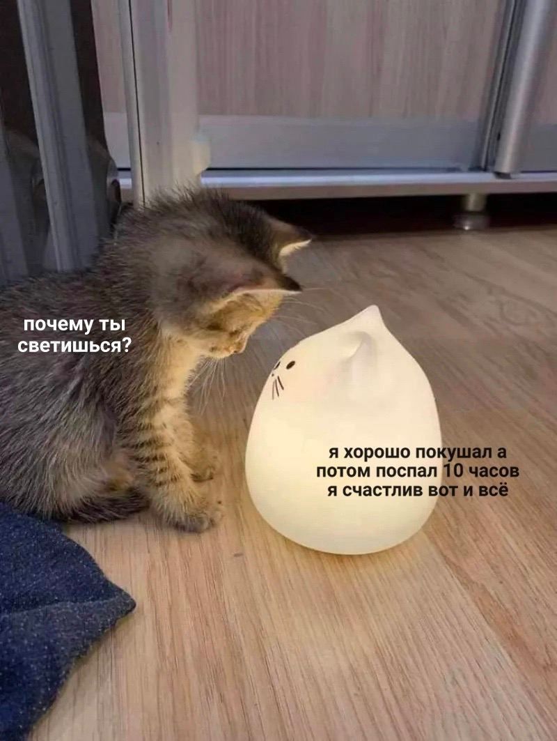 почему ты стишься я хорошо докупил потом поспал 10 ч я счастлив вии всі