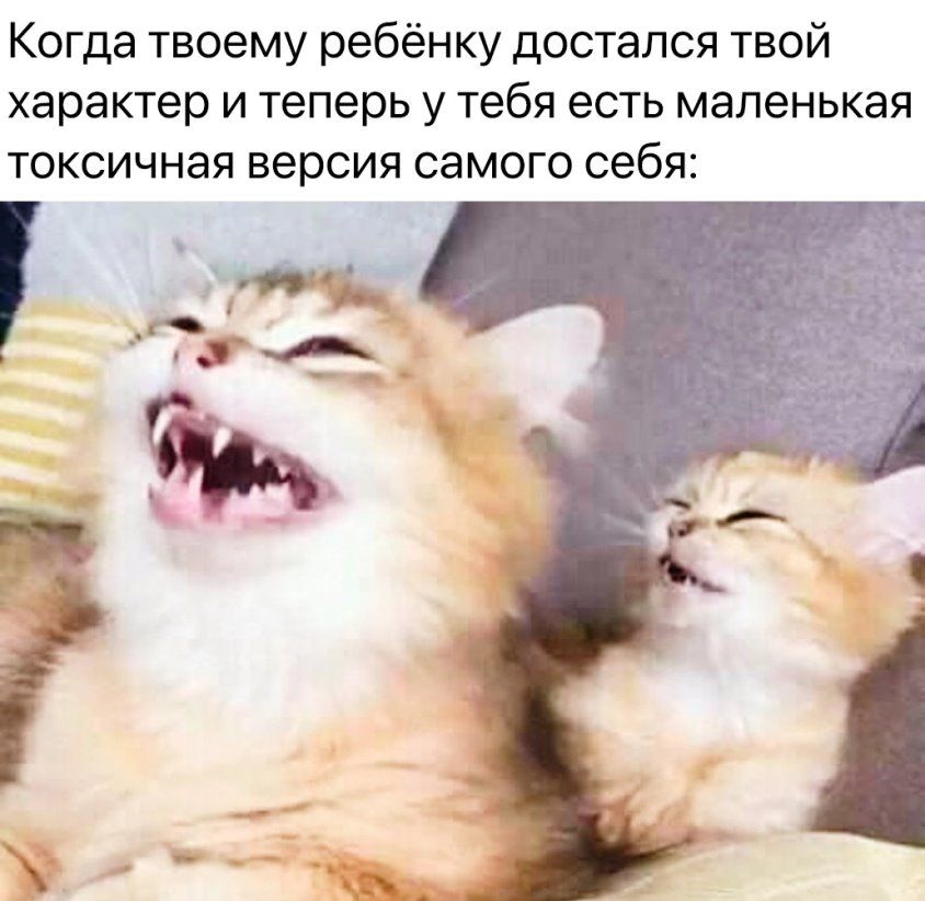 Когда твоему ребёнку достался твой характер и теперь у тебя есть маленькая токсичная версия самого себя