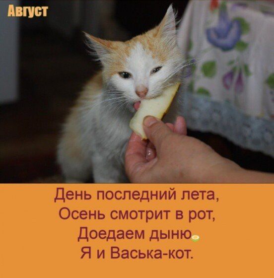 ВПШ
