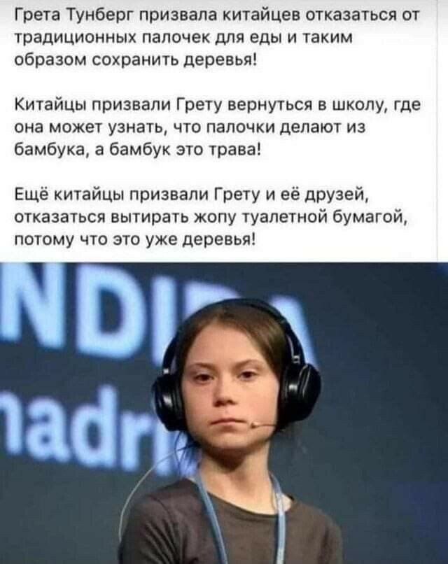 Грета Гумберт призвала китайцев птказаться от традиционных папочек для еды и таким образам сохранить деревья Китайцы призвали Грету вернуться в школу где она может узнать ЧТ ПЗЛОЧКИ делают ИЗ бамбука а бамбук это трава Еще китайцы призвали Грвту и ее друзей отказаться вытирать жипу туалетной бумагой потому что это уже деревья ШТ абп