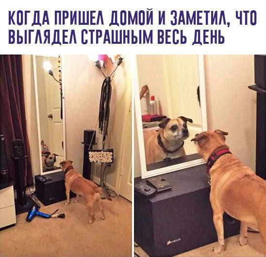 КПГЛА ПРИШЕЛ ЛПМПЙ И ЗАМЕТИА ЧТП ВЫГАЯДЕА СТРАШНЫМ ВЕСЬ ДЕНЬ