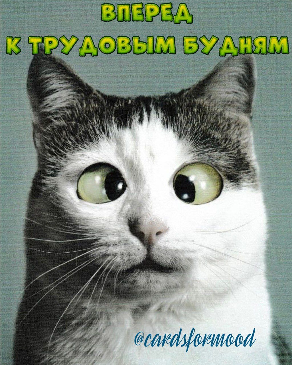ВЗ трудовым им