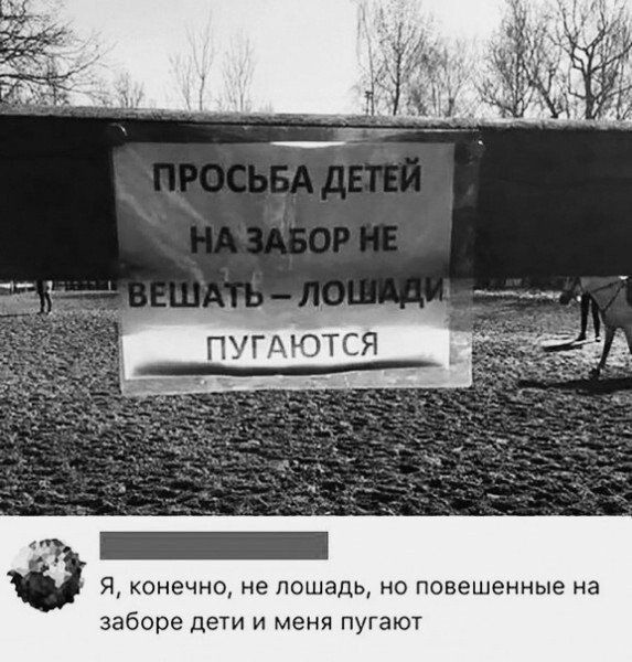 Я конечно не лошадь но повешенные на заборе дети и меня пугают