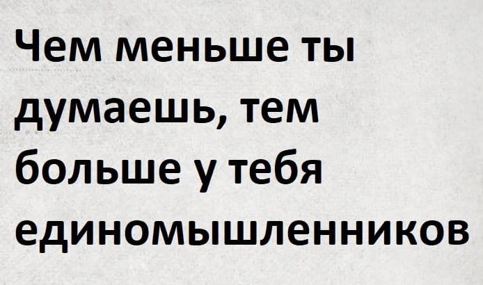 Чем меньше ты думаешь тем больше у тебя единомышленников