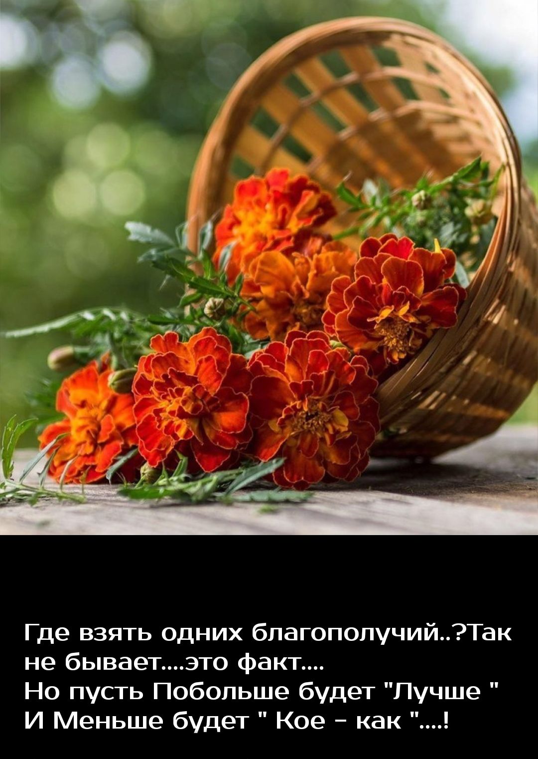 Где взять одних бпагопопучийТак не бываетзто факт Но пусть Побольше будет Пучше И Меньше будет Кое как