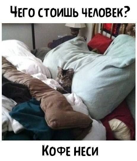 ЧЕГО стоишь чвловвк КОФЕ НЕСИ