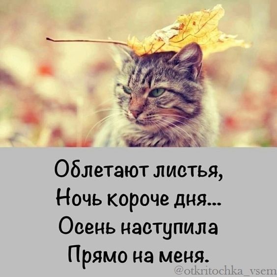 Облетают листья Ночь короче дня Осень наступила Прямо на меня