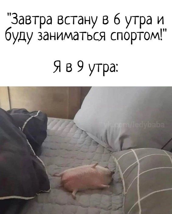 Завтра встану в 6 утра и буду заниматься спортом Я в 9 утра