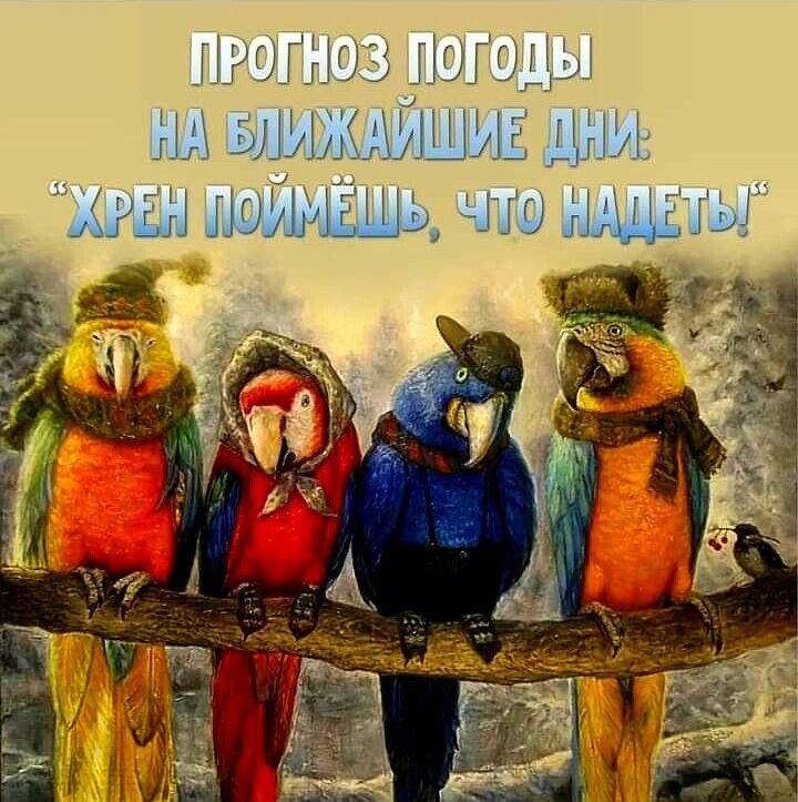 ГЗгО ЛОПЦЫ ШИМ А ИШ 15 Д і чю а