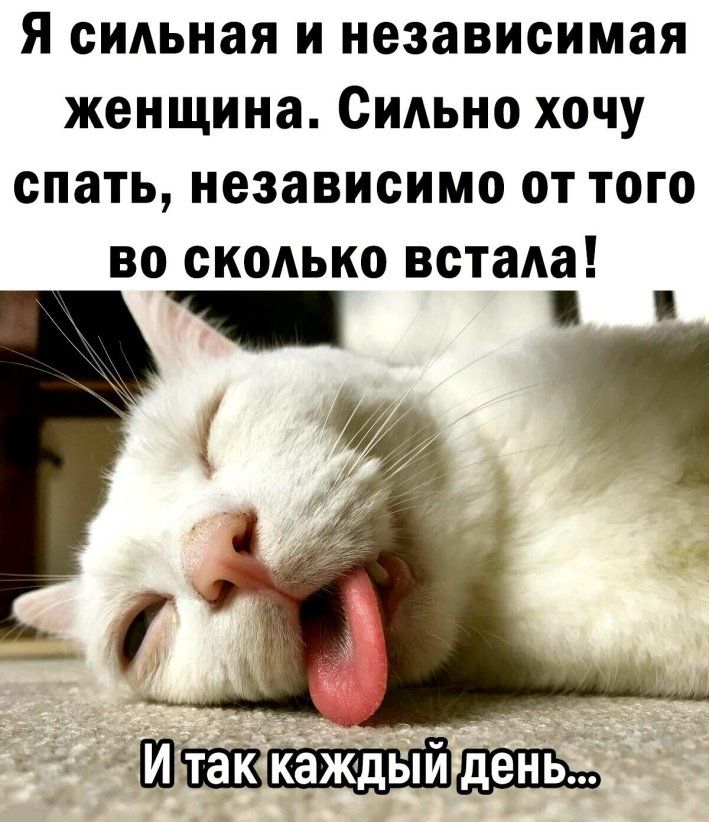 Я сильная И независимая женщина СИАЬНО ХОЧУ спать независимо ОТ ТОГО ВО СКОАЬКО встала