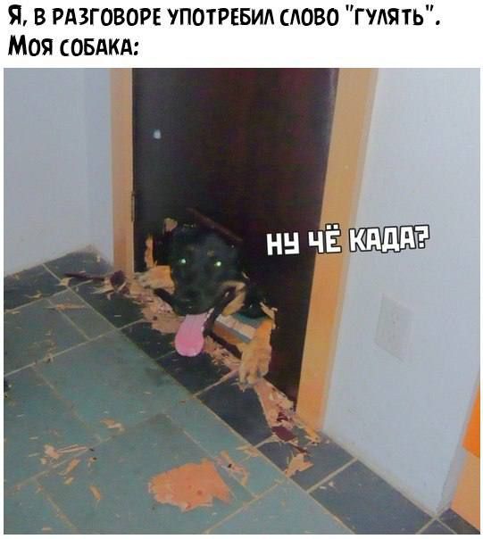 Я в РАЗГОВОРЕ употребил слово гулять Моя овдкд