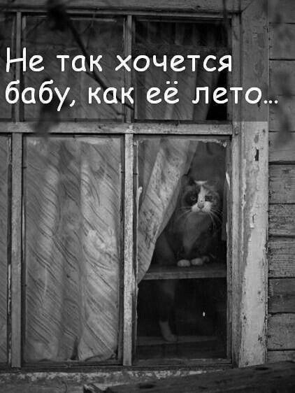_ Не так ЁочетсяЛЕ ёабудйщё ее ле
