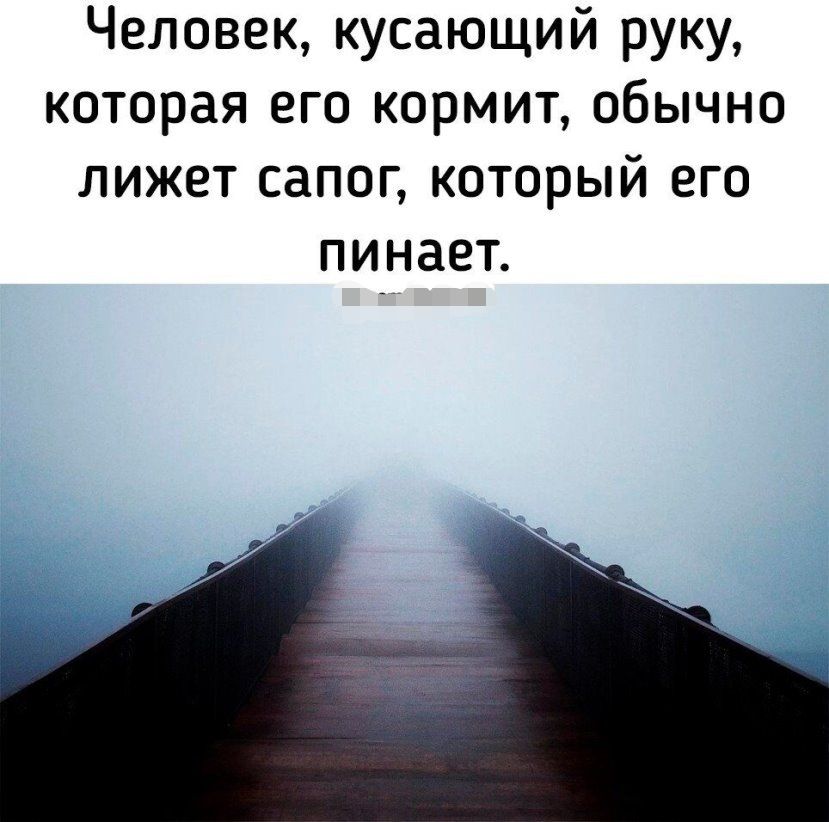 Человек кусающий руку которая его кормит обычно лижет сапог который его пинает