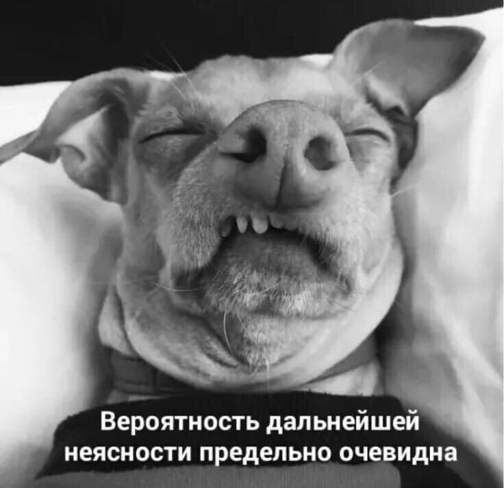 Вероятность дальнейшей неясности предельно очевидна