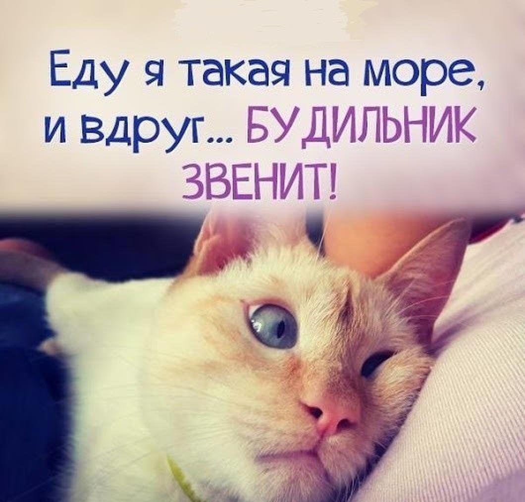 Еду я такая на море и Вдруг БУШЛЫ МК ЗВЕЬМТЕ Т 4 её