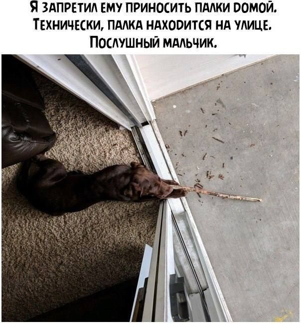Я ЗАПРЕТИА ЕМУ ПРИНОСИТЬ ПМКИ ООМОЙ ТЕХНИЧЕСКИ ПААКд НАХОПИТСЯ НА МИЦЕ ПОСАУШНЫЙ МАЛЬЧИК