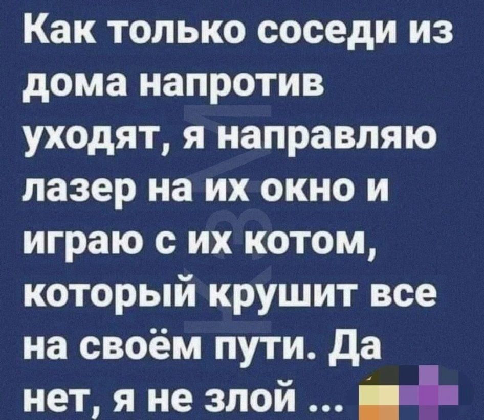 Как только соседи из дома напротив уходят я направляю лазер на их окно и играю с их котом который крушит все на своём пути да нет я не злой ь