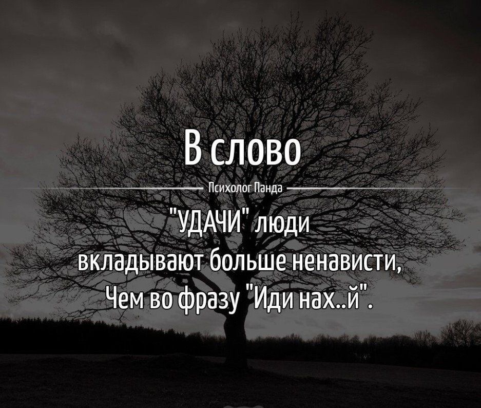 В слово п УДАЧИ люди вкладывают больше ненависти Чем во фразу Иди нахй