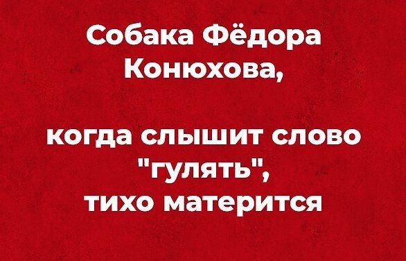 Собака Фёдора Конюхова когда слышит слово гулять тихо матерится