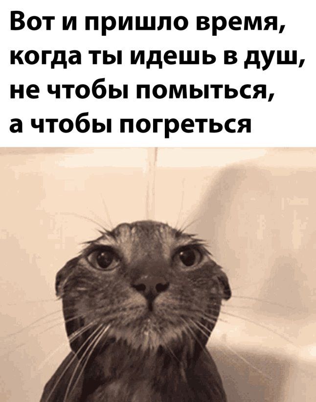 Вот и пришло время когда ты идешь в душ не чтобы помыться а чтобы погреться