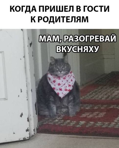 КОГДА ПРИШЕЛ В ГОСТИ К РОДИТЕЛЯМ щ МдМРАЗОГРЕВАЙ ВКУСНЯХУ