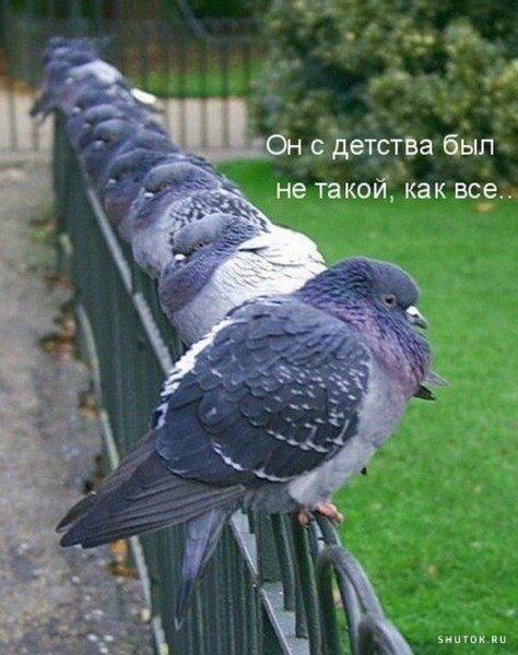 сЁдетствв был не такой как вс вы и