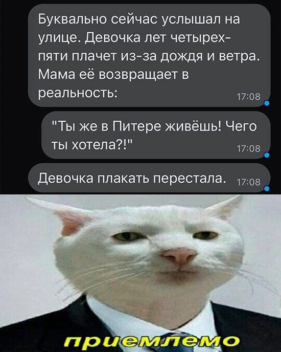 Буквально сейчас услышал на улице Девочка пет четырех пяти плачет изза дождя и ветра Мама её возвращает в реальность 17 вв _ Ты же в Питере живёшь Чего ты хотела 17 в Девочка плакать перестала в