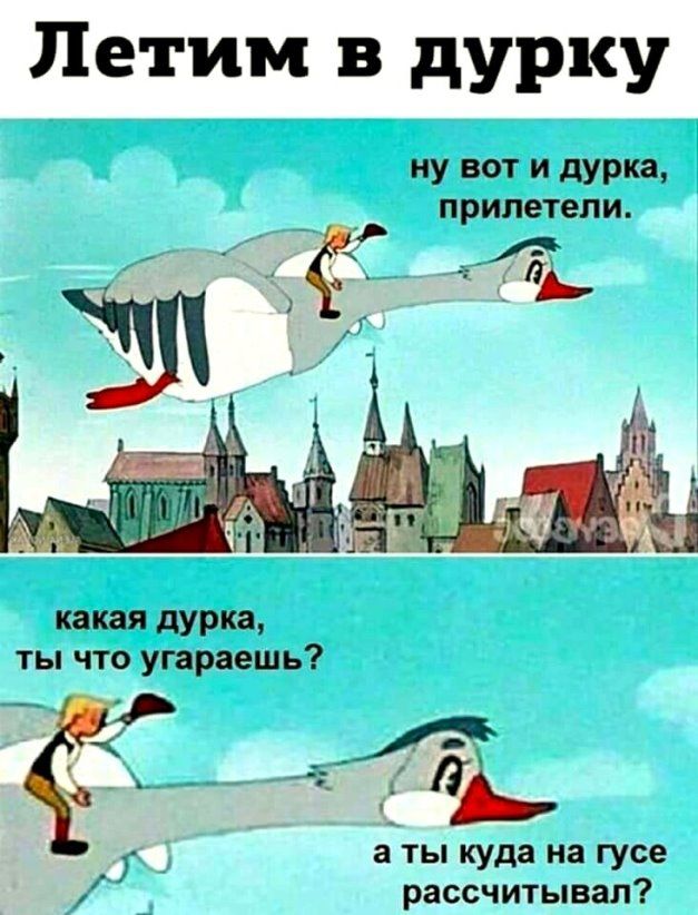 Летим в дурку ну вот и дури прилетели г А а г ши какая дУРКа ты что угарвеш ь а ты куда на гусе рассчитывал