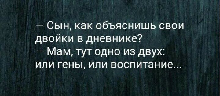 Сын как объяснишь свои двойки в дневнике Мам тут одно из двух ИЛИ ГЕНЫ ИЛИ ВОСПИТЗНИЕ