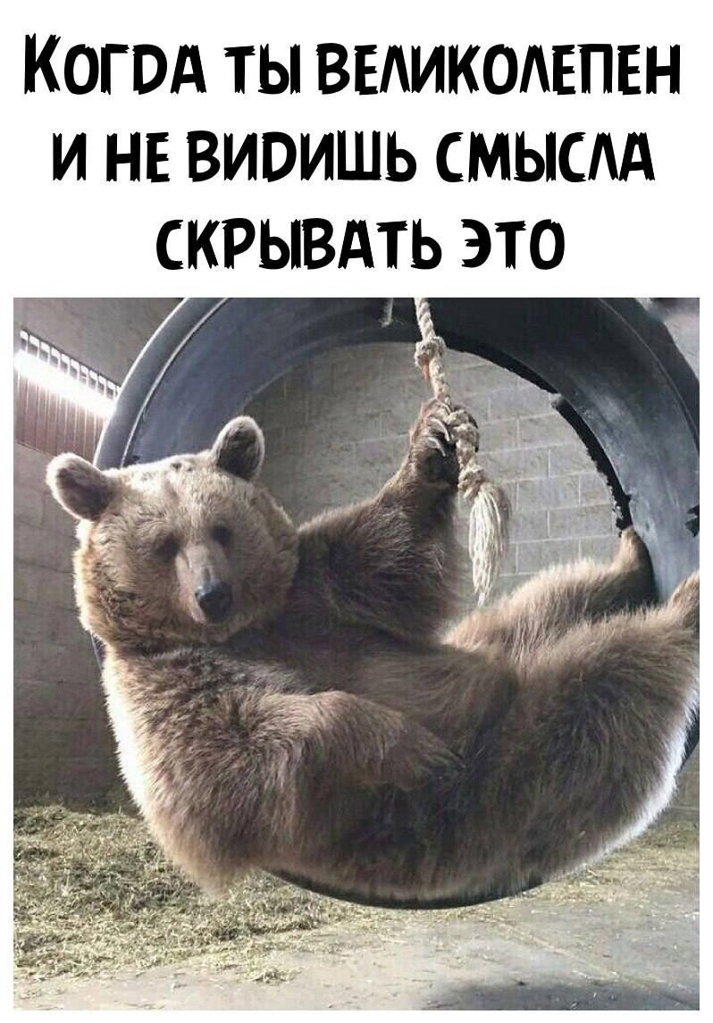 Когвд ты выикомпвн и на виоишь смысдд скрывдть это